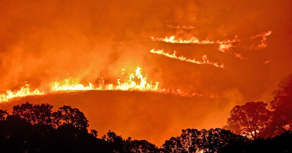 лесной пожар в калифорнии
