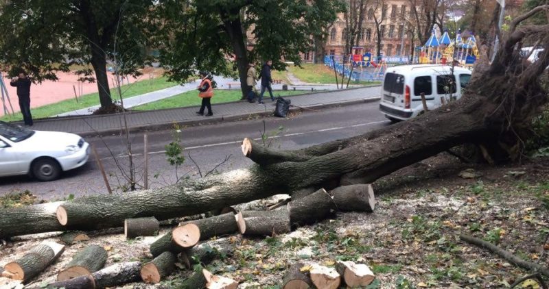 ураган во львове