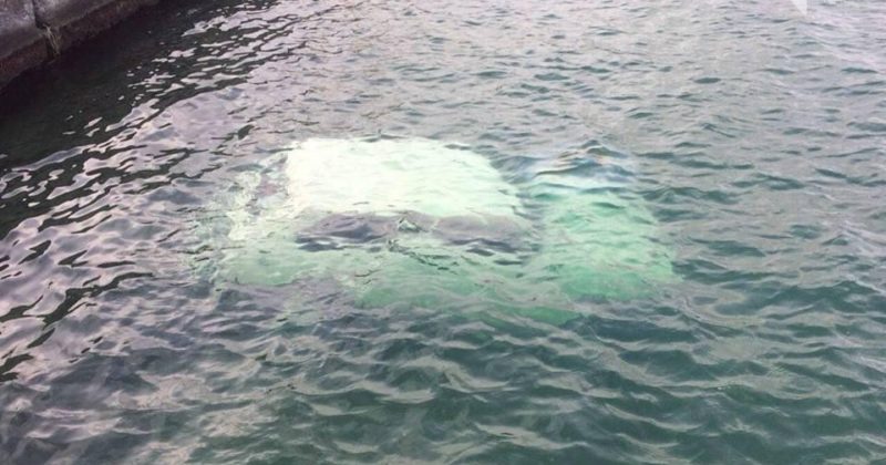 на пляже одессы в море нашли труп в автомобиле