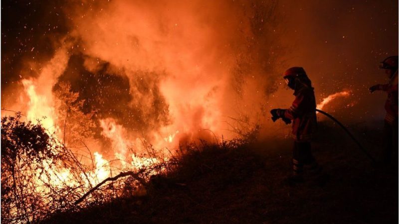 Пожары в Португалии и Испании