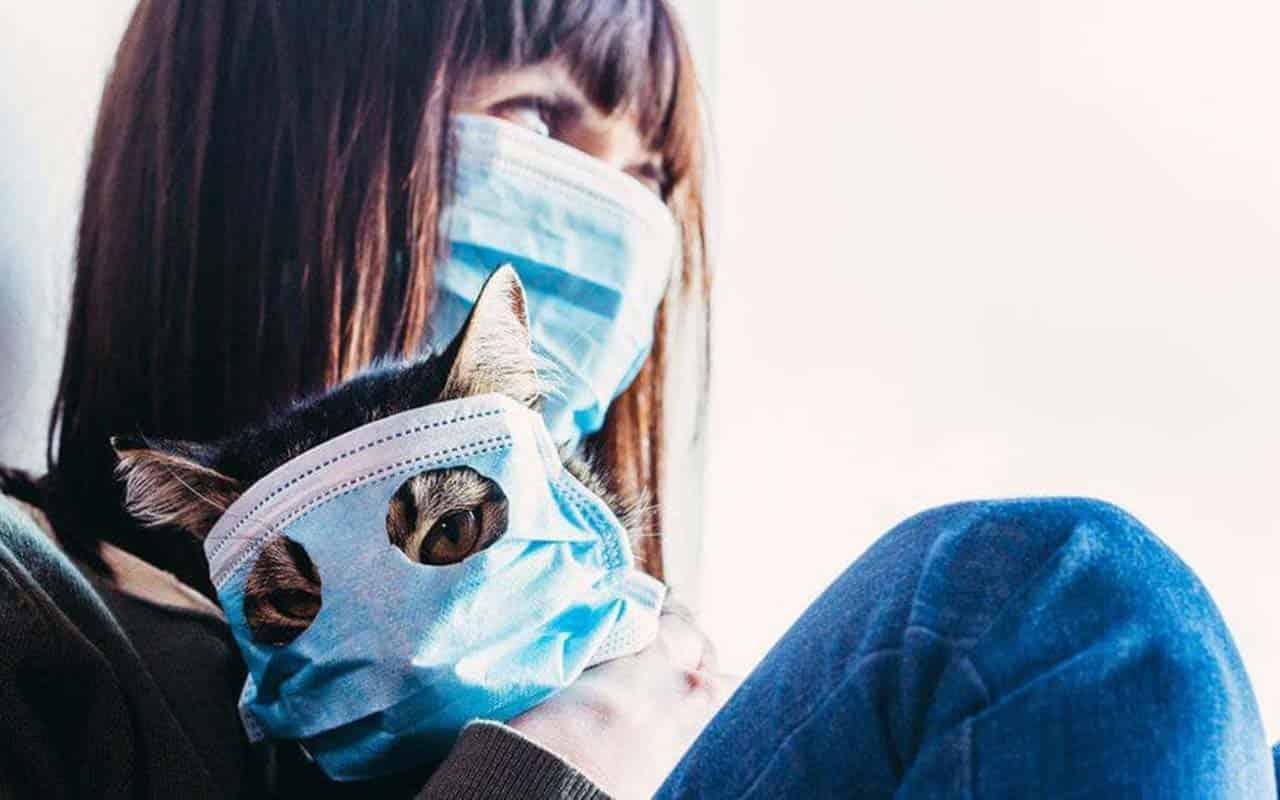Вчені розробили маску, яка тестує на коронавірус