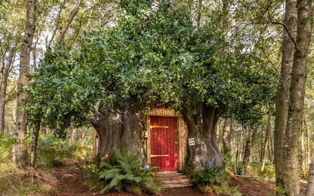 Winnie the Pooh's house can be rented on Airbnb